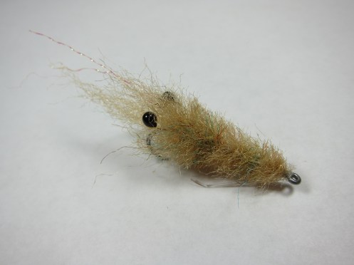 Main Smartt's Shrimp