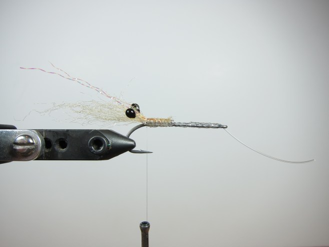 Smartt's Shrimp Step 3