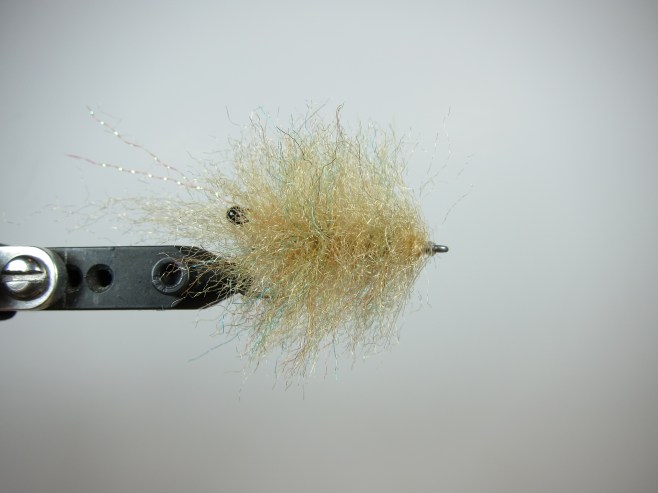 Smartt's Shrimp Step 7