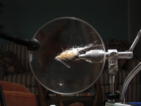 Smartt's Shrimp under the magnifying glass of Jon Carpenter's vise